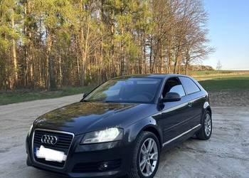 Audi A3 8PA 1.6TDI 105KM