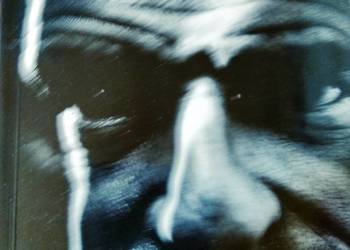 Czarny ptasior Siedlecka książki księgarnie Warszawa