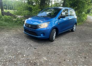 suzuki celerio 1.0 premium