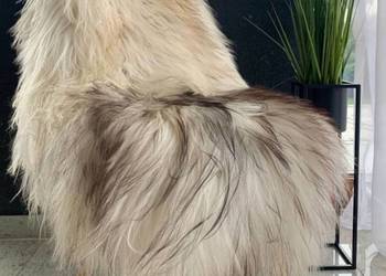 Długowłose wyroby wełniane z Islandzką duszą