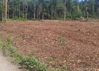 mulczowanie nieużytków mulczowanie nieużytków