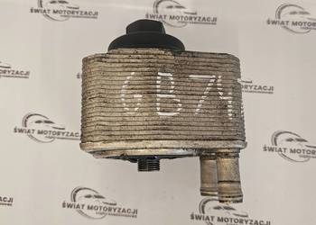 PASSAT GOLF 2.0 TDI CBA CBAB 140KM 10r chłodniczka oleju 038117061B