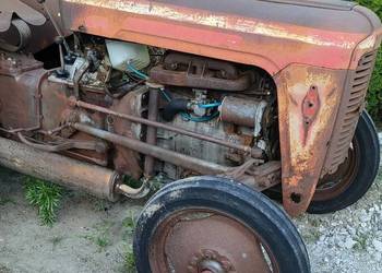 Massey Ferguson MF 35