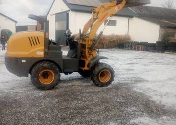 Mini Ładowarka yanmar