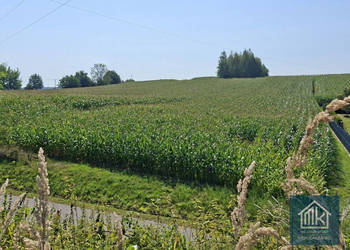 Oferta sprzedaży gruntu Bodzanów 8100m2