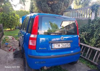 fiat panda
