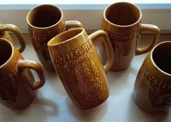 Kufle Żywiec Beer 1856 Kufle Żywiec Beer 1856