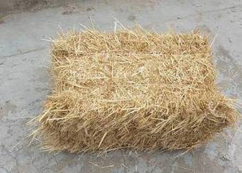 Słoma kostka pszenna, jęczmienna 15 zł/szt.