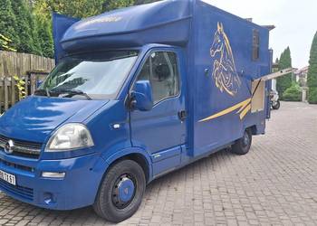 OPEL MOVANO KONIOWÓZ -2 KONIE