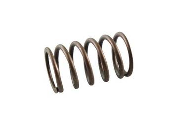 Sprężyna 691605