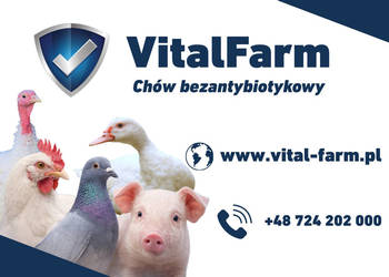 Witaminy, minerały, zioła w płynie do podawania w wodzie.