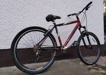 Saracen Dirt Track Custom stunt 26" nowy