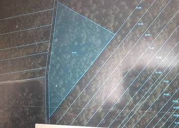 Działka leśna 5000m2, Zuzanów gmina Sobienie Jeziory