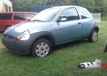 Ford KA 1,3 benzyna