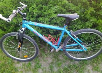 Rower MTB Raleigh Max 26 Alu
