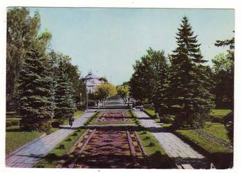 CIECHOCINEK DYWAN KWIATOWY 1