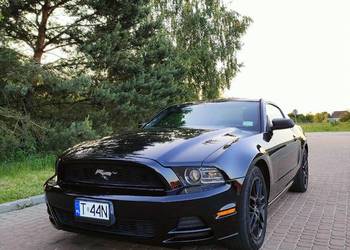 Ford Mustang V 2014r. 3.7v6 manual