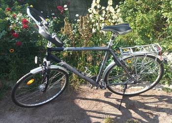 Rower męski WINORA BERMUDA 28"