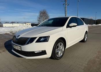 Polski Salon, Bezwypadkowy.