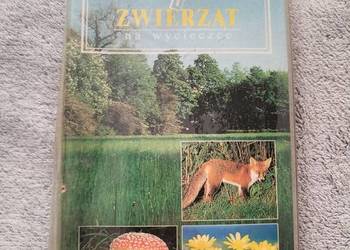 Przewodnik po Roślinach i Zwierzętach