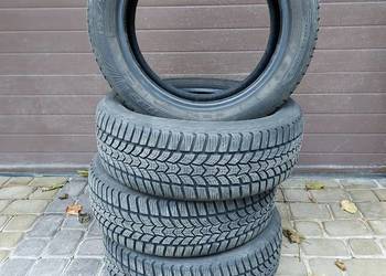 Opony Zimowe Dębica Frigo HP2 195/55 R16 6 mm