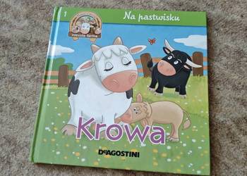 Książka Krowa Na Pastwisku