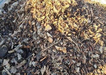 ZRĘBKA leśna biomasa na pellet Zrębek pod rośliny Zrębka pieczarki