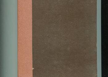 Podwójna omyłka - Prosper Merimee