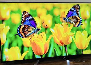 TV Panasonic 65" 4K Android