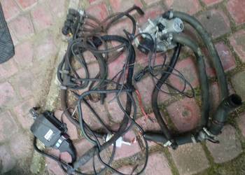 Instalacja Sekwencja nevo parownik shark