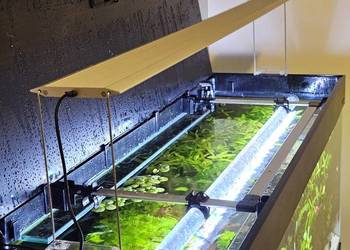 CHIHIROS LED A II 1201 MAX (bluetooth controller) lampa