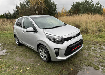 Kia Picanto 1,0i 67KM Kia Picanto Vision Automatyczna Skrzynia Biegów Temp…