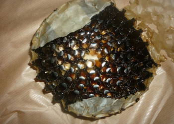 RkmD wz 44 taśma amunicyjna 7,62 X39