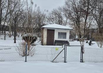 Prawo do dzierżawy działki