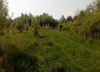 Działka budowlana 1200 m2 Morzęcin Mały+ droga