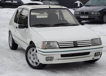 Peugeot 205 Green