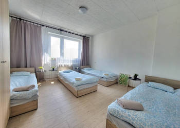 INWESTYCJA 25%, GOTOWIEC INWESTYCYJNY, NAJEM OD 1. DNIA, 59 m², 3 POKOJE