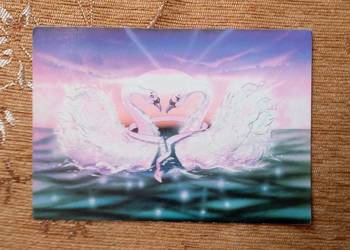 DWA BIAŁE ŁABĘDZIE O ZACHODZIE SŁOŃCA - PROJ. WALASZEK