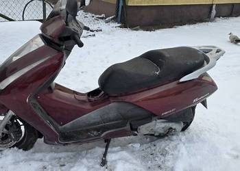 Honda pantheon 125 4t