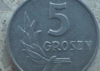 POLSKA-5 GROSZY-1971 r-AL-