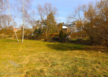 Grunt 4000m2 Wodzisław Śląski