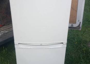 Lodówka  Polar 160cm
