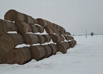 Sprzedam słomę z sezonu 2025