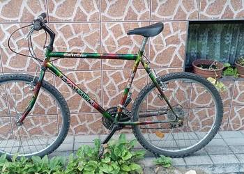 Rowery typ Cross koła 26 Cali cena za 1 sztukę 100 zł