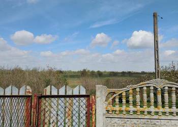 Dom i działka w Okuninie