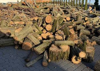 Drewno  Opałowe w małych kawałkach / mix liściasty