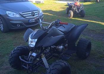 Bashan 250