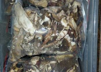 Borowiki suszone 2 kg