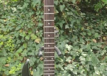 Gitara Ibanez RG 270