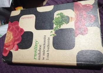 Rośliny ozdobne w mieszkaniu na balkonie Rośliny ozdobne w mieszkaniu na balkonie